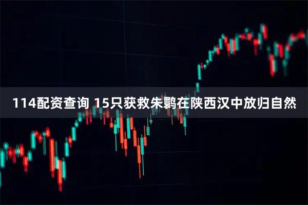 114配资查询 15只获救朱鹮在陕西汉中放归自然